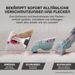 Shark StainForce HX100EUCP
